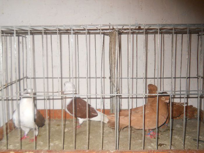 De vanzare, 100 RON perechea