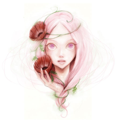 Anemone.full.219274