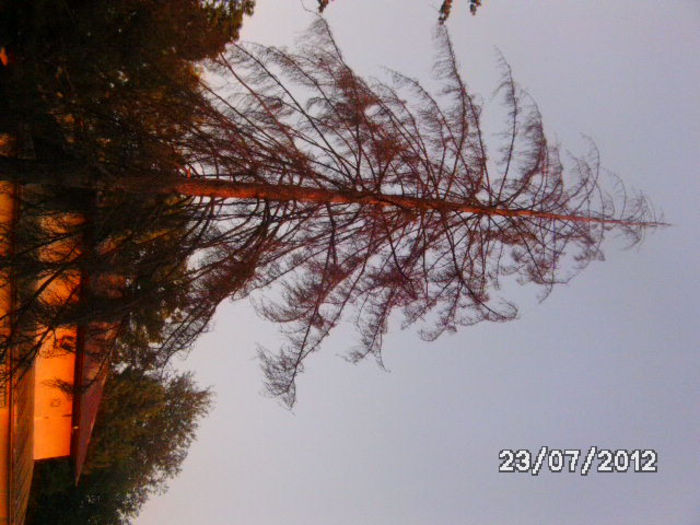 BILD0086