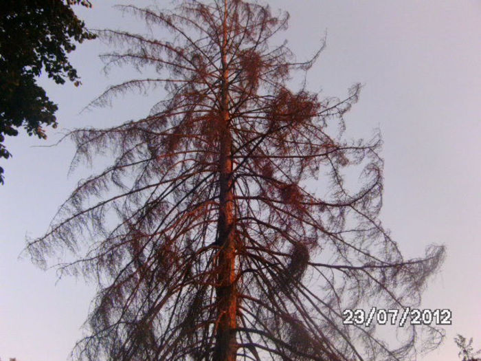 BILD0087