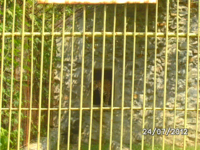 BILD0128