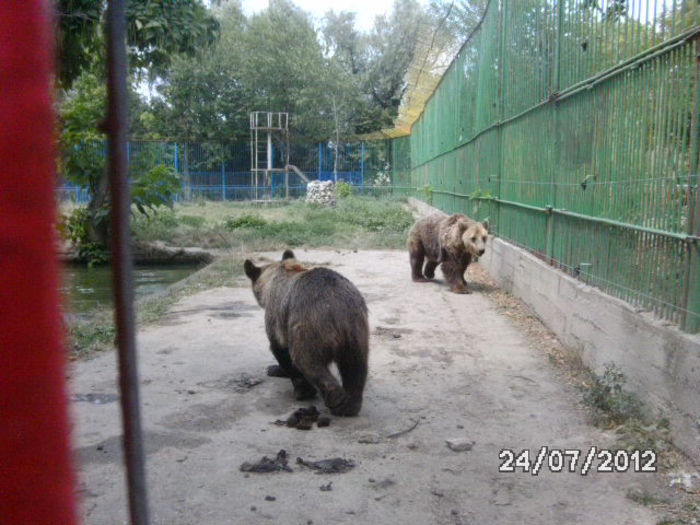 BILD0151 - big happy familly