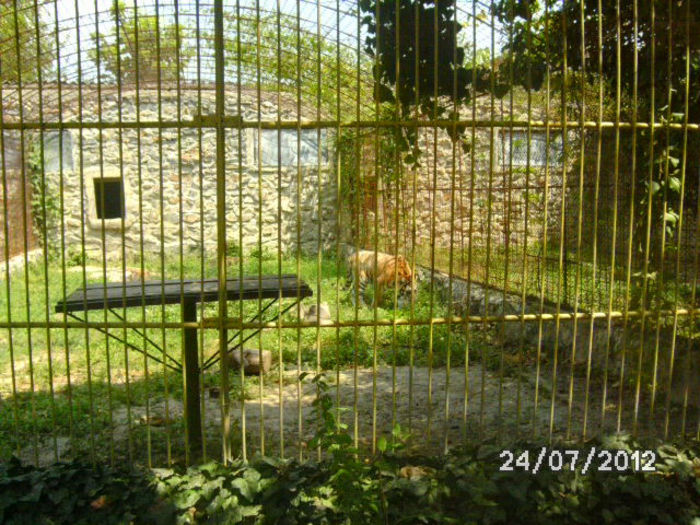 BILD0155