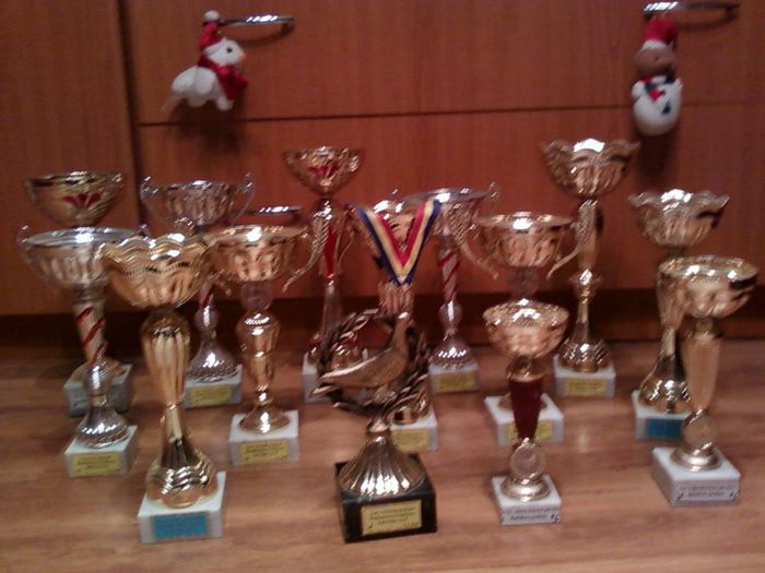 TROFEELE MELE - TROFEE SI DIPLOME-2012