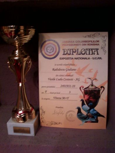 LOCUL 3 NAT EXPO  UCPR 2012 VIT 2401931-10-F - TROFEE SI DIPLOME-2012