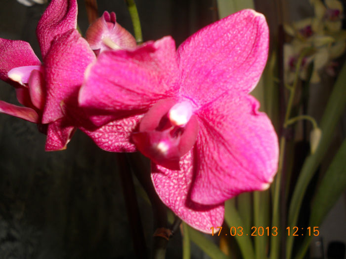 DSCN2814
