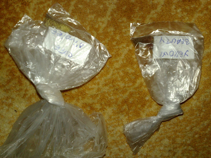 rizomei achi de la Elena(elena410)