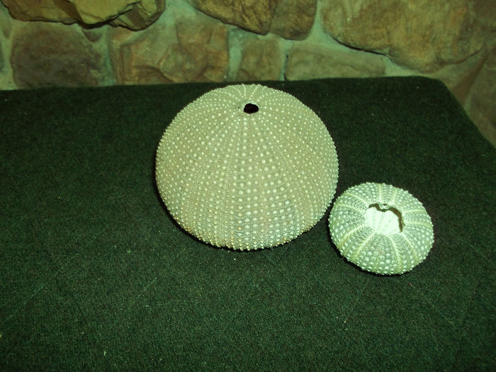 DSCF0752