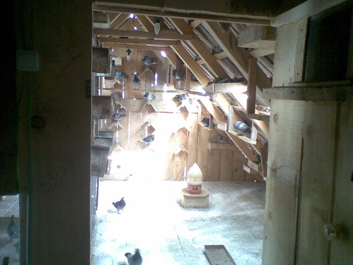 16032013(002) - Voiajori