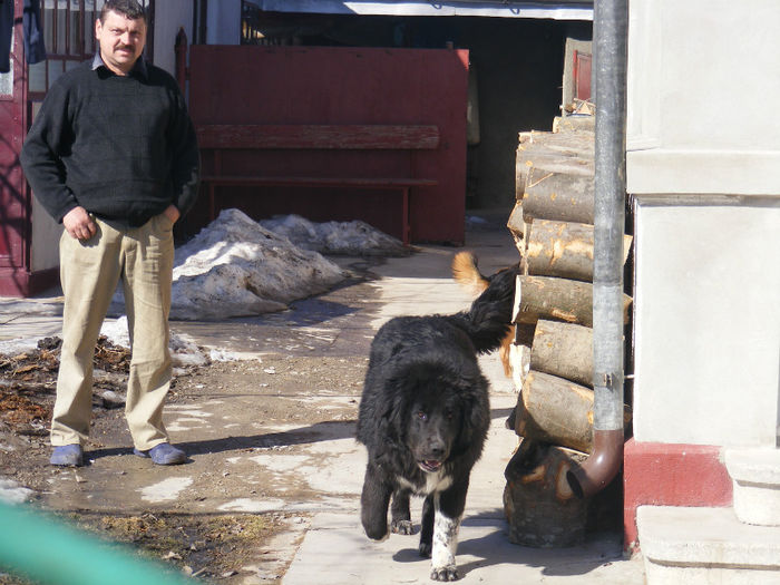  - FRATE DE CUIB CU CORBEA TOT DIN BUZDUGAN PE LA 4 LUNI