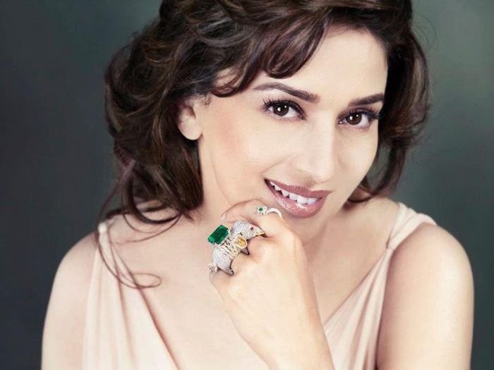 320522_271904866166055_1808534521_n - MADHURI DIXIT