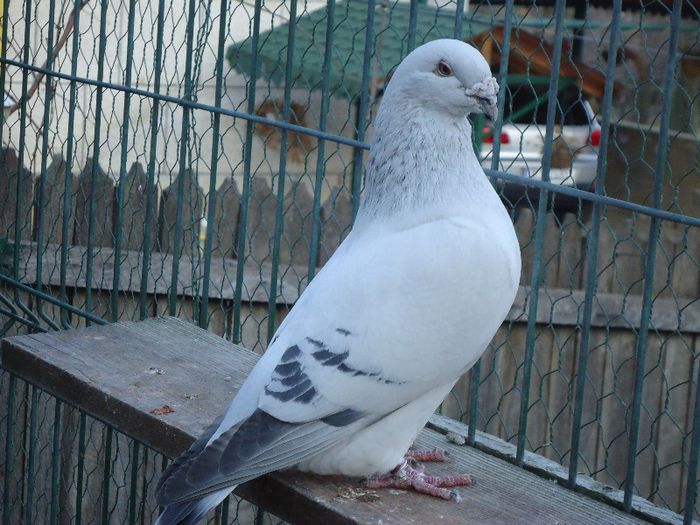 DSC02688