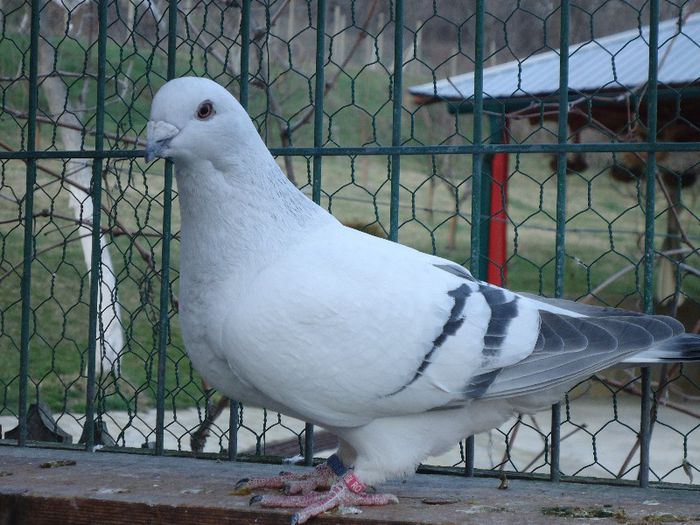 DSC02690