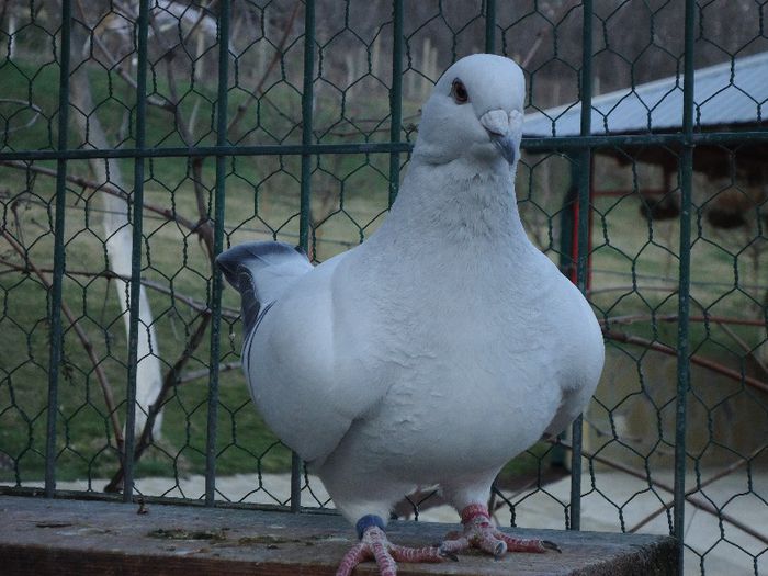 DSC02691