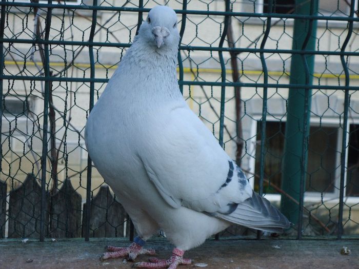 DSC02702