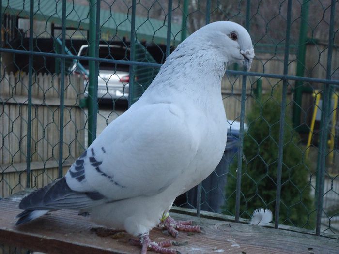 DSC02707