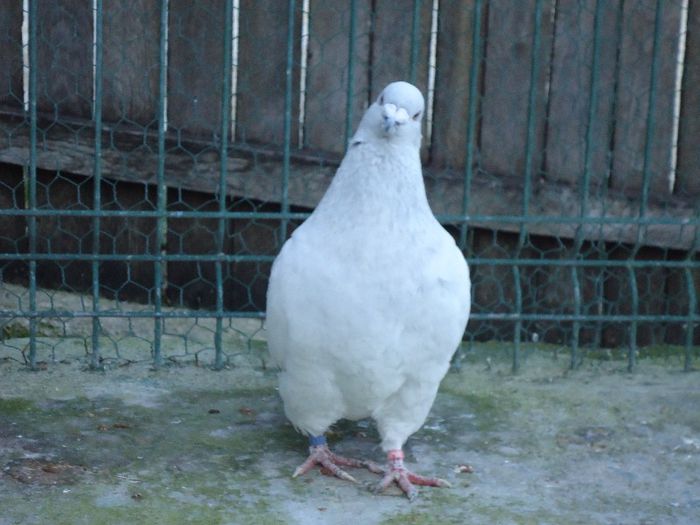 DSC02710