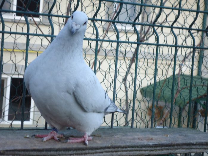 DSC02717