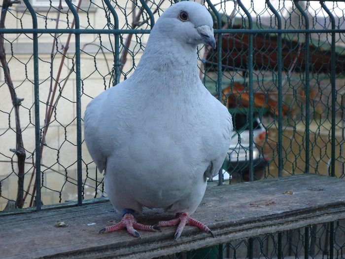 DSC02720