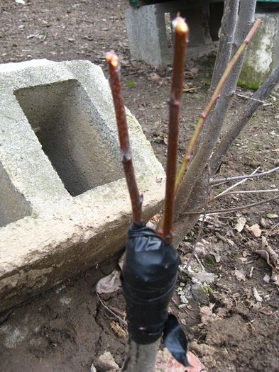 noi incercari,altoire