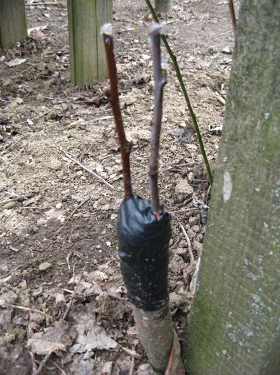 noi incercari,altoire