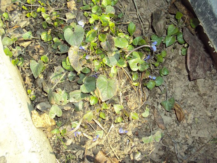 DSC01659