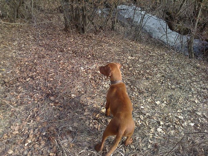 FĂ©nykĂ©p0642[1]