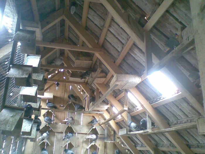 17032013(017) - Voiajori