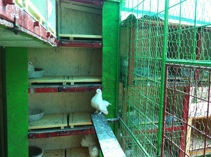 2013-03-16 13.35.41