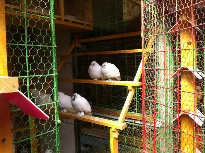 2013-03-16 13.39.31