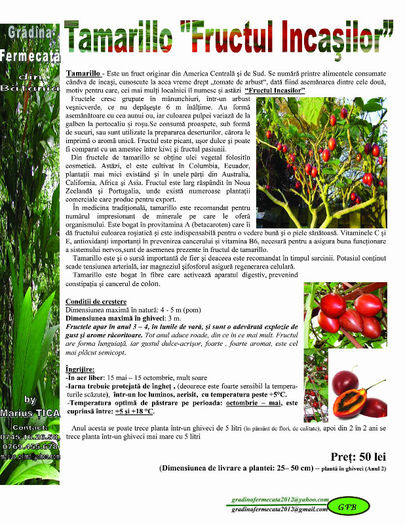 Fructul Incasilor - Catalog de Plante exotice pentru sanatate