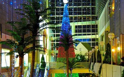 brad_impodobit_de_craciun_3 (1) - poze cool