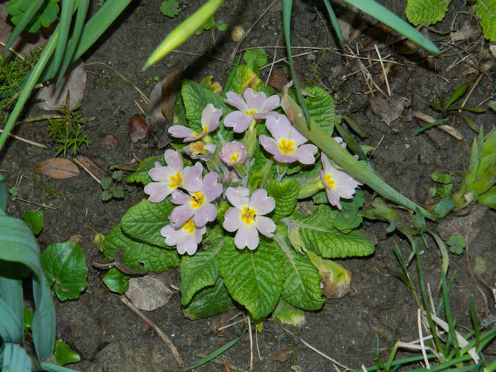 DSCN5678