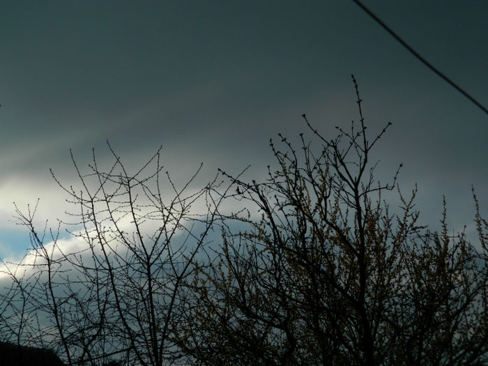 DSCN5715