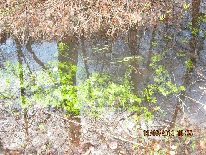 IMG_1220 - Vine vine primavara