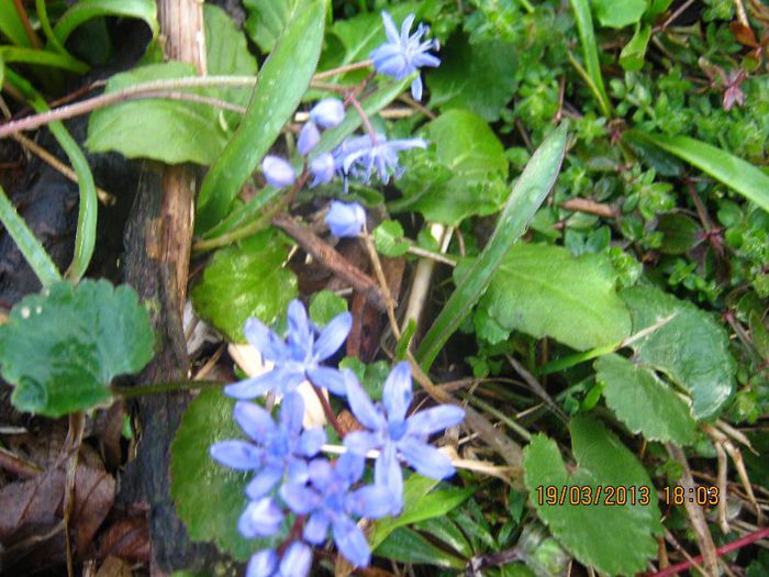 IMG_1245 - Vine vine primavara