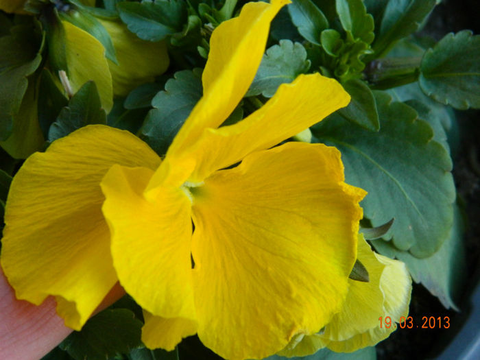 032