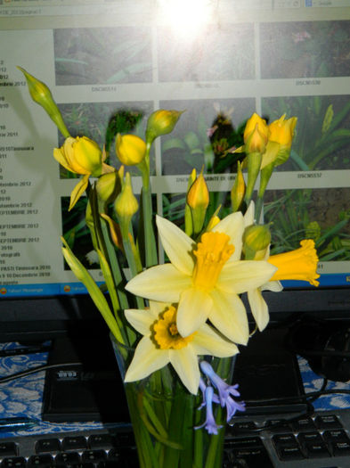 DSCN5634