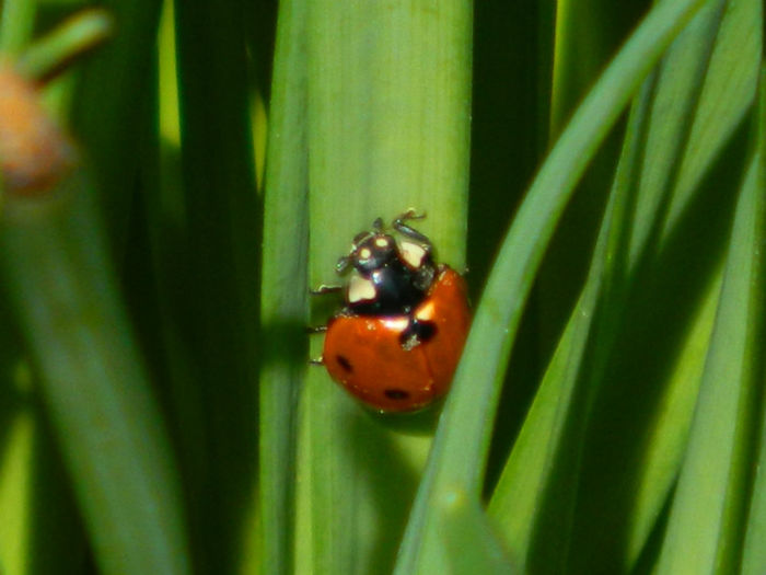 DSCN5767