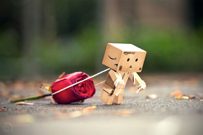 my - Roboti sweet