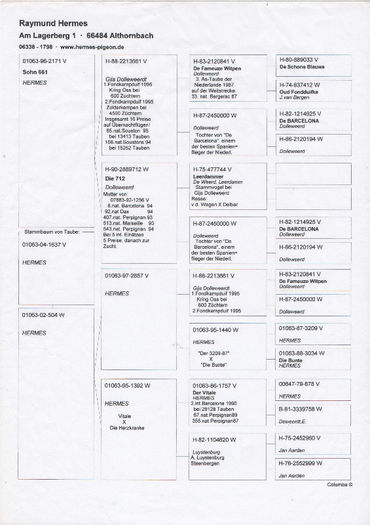 Anexa pedigreu Super Gijs