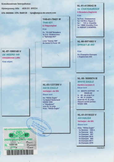Pedigreu De Weerd 149