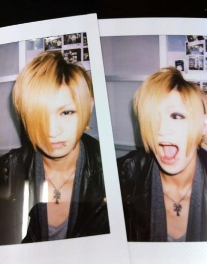 376311_221671454569779_1014888305_n - Diaura kawaii