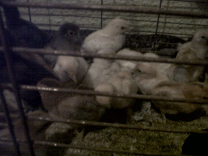 IMG00488-20130321-1826