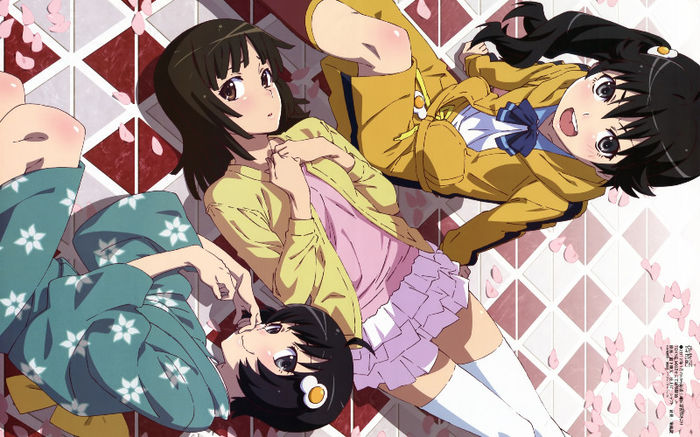 19)nisemonogatari