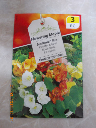 21 martie 2013-flori 012
