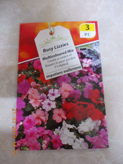seminte impatiens simplu