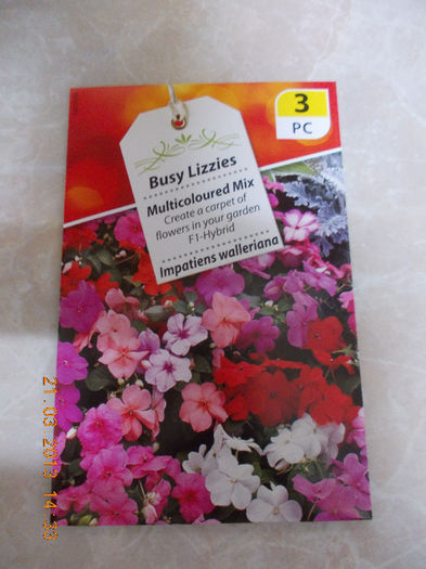 21 martie 2013-flori 024