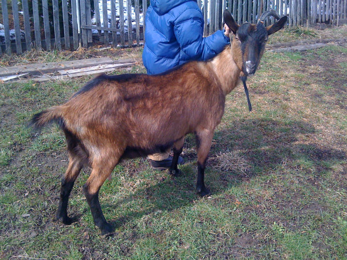 Am periat-o sa fie mai frumoasa :)