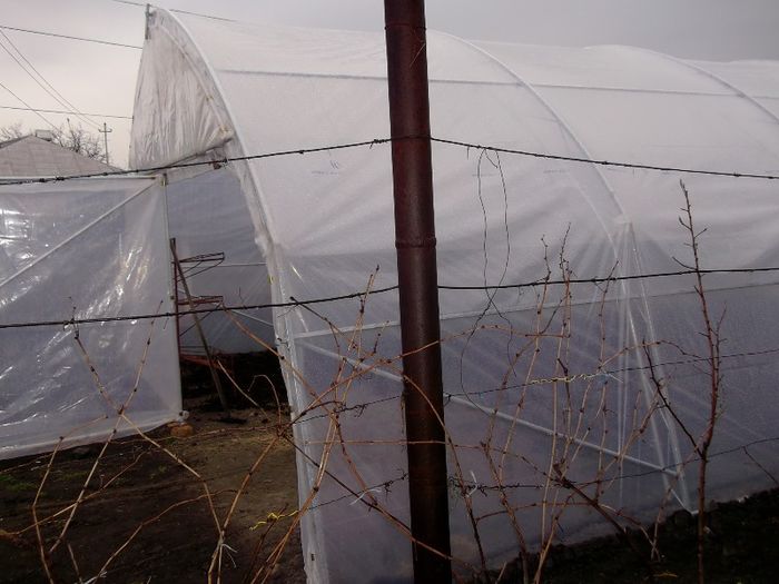 comandat si asamblat